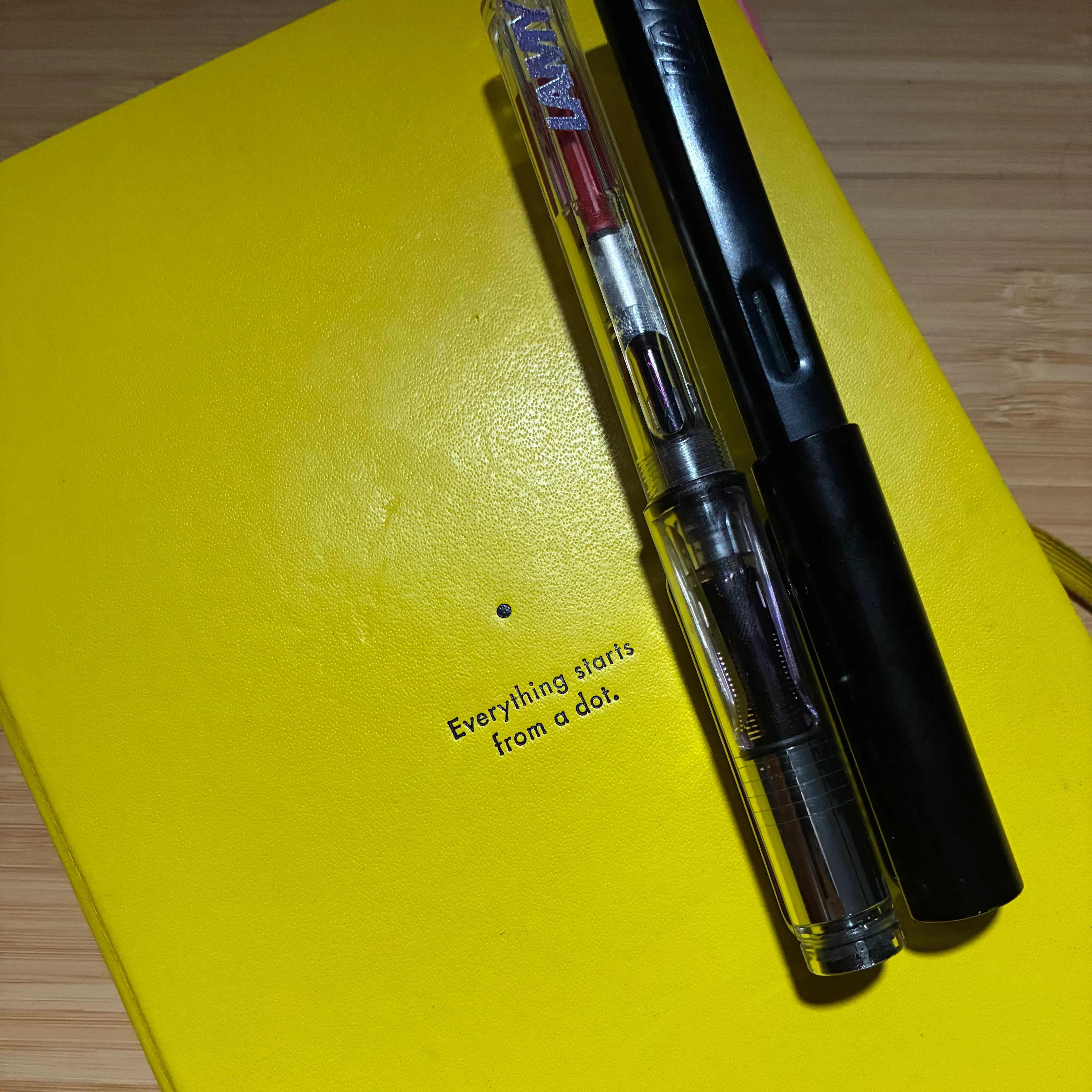 A photo of Gustavo's actual journal